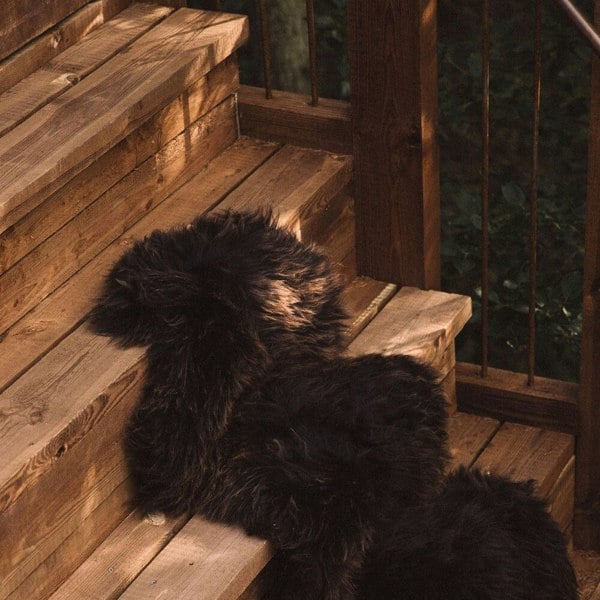 UK Sheepskin | Short Wool | 90-100 cm Natural Dark Brown