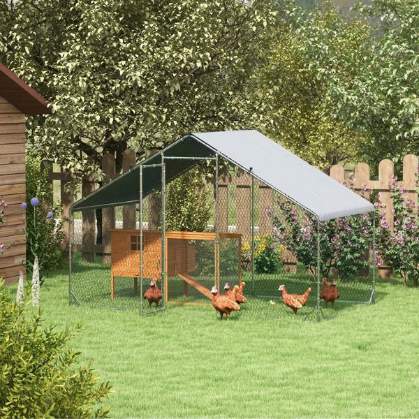 Chicken Coop