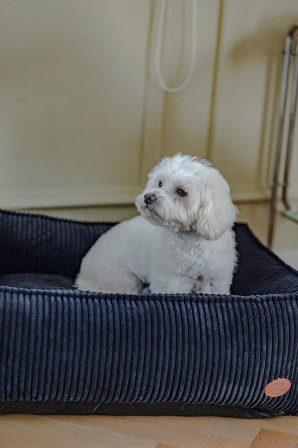 Snug and Cosy Pets The San Remo Chunky Cord Dog Bed