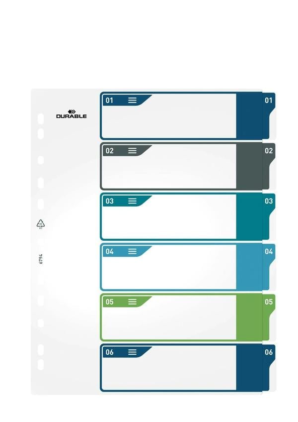 Durable 6 Part Numbered Tab Punched Index Dividers + Cover | A4+ | Colour Coded
