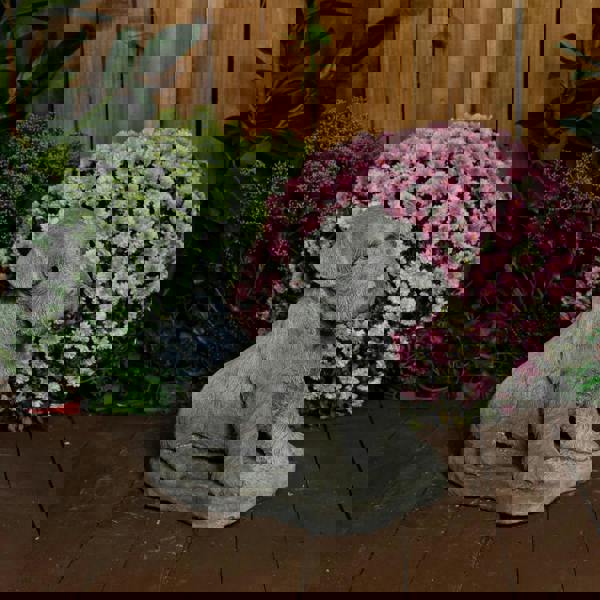 Large Schnauzer Stone Dog garden ornament 