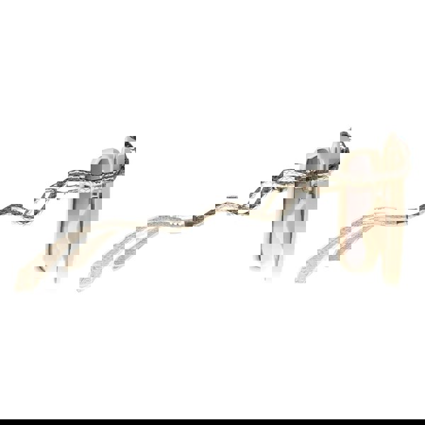 Roberto Cavalli Sunglasses SRC003M 09X7 Cream Brown Gradient