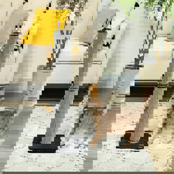 D30-809V00BK