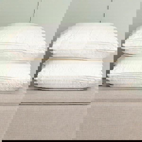 Soak&Sleep Hungarian Goose Down Pillows
