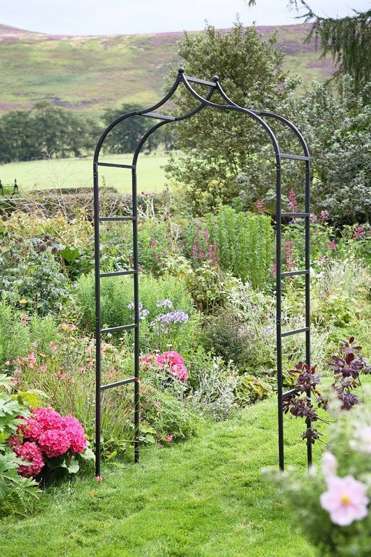 Samuel Alexander Tom Chambers Black Baroque 240cm x 110cm Metal Steel Garden Flower Rose Arch