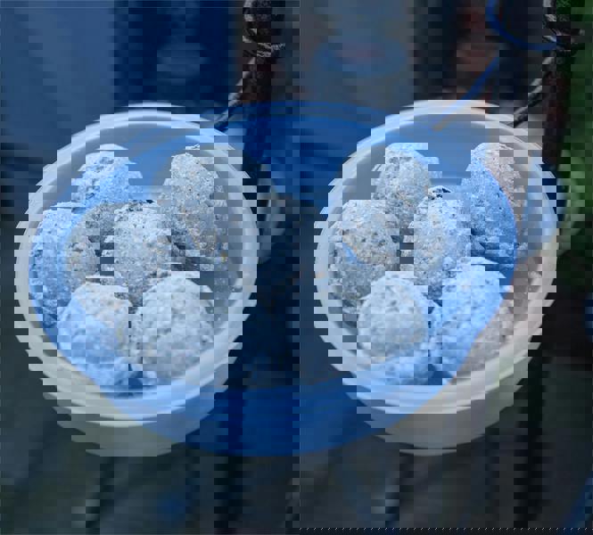 St Helens Bird Care Station With Feeder and Bath