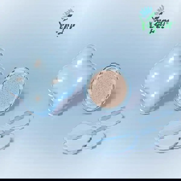 ETUDE Cloud Filter Cushion