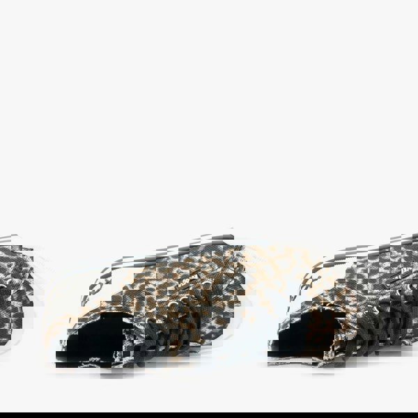 1615303632-62652000.jpg