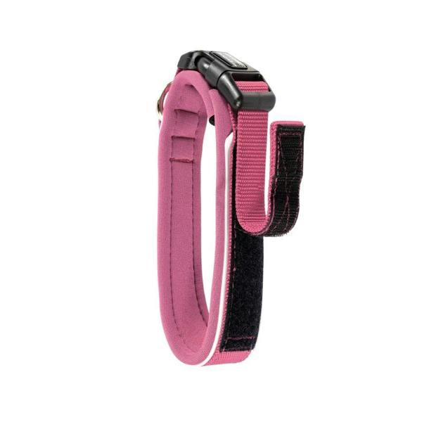 EzyDog Neo Classic Dog Collar in Pink
