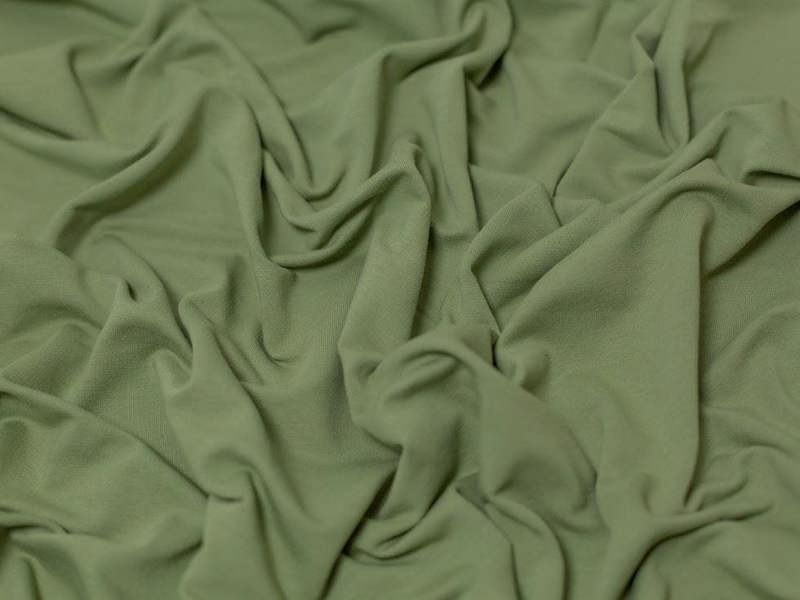 Fern Green