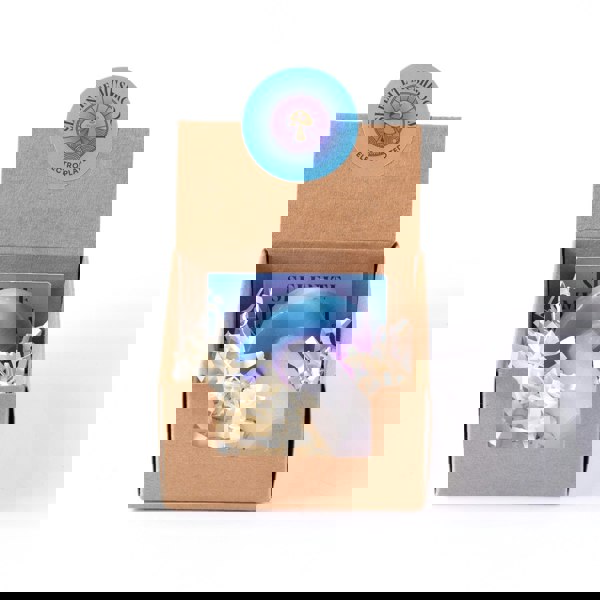 Myga Electroplated Selenite Mushroom (Green/Pink/Purple)