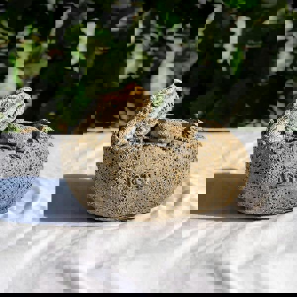 Small Stone Cast Tyrannosaurus Garden Sculpture Dinosaur Animal Statue