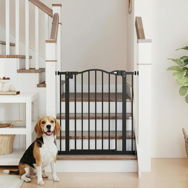 Pet Gate