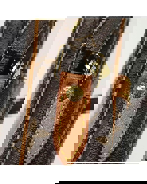193994702.jpg
