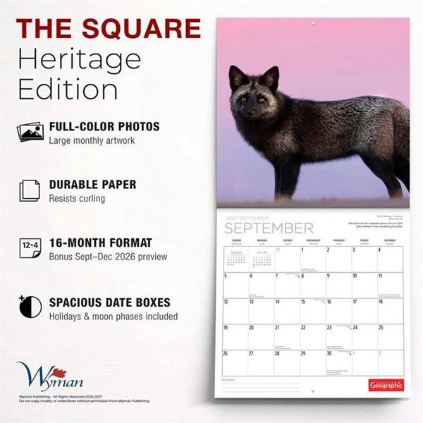 Foxes Calendar 2027, Wall Calendars, Month To View, Animals, Gift