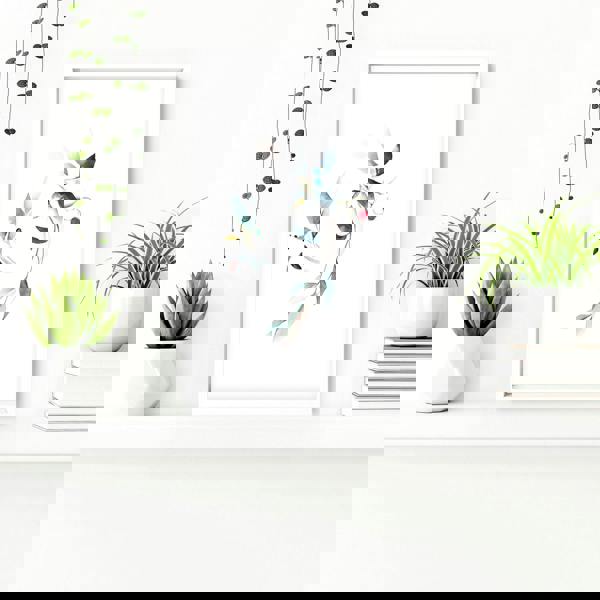 Bathroom wall decor UK | Set of 3 Botanical art prints