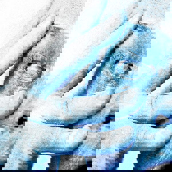 Porcupine Tree 'In Absentia' CD Digipack