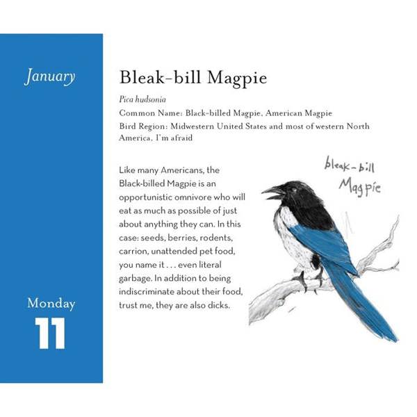 Chronicle Books The Field Guide To Dumb Birds Desk Calendar 2027, Desk Calendars, Day To View, Animals, Gift