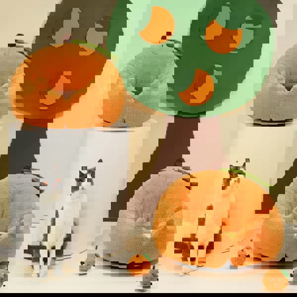 CATBED4FREE-Weilai-Weilai Concept