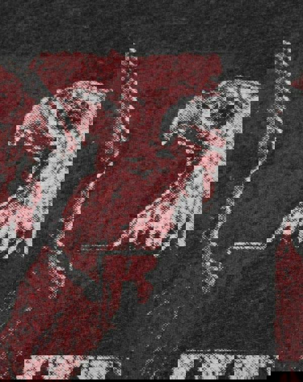 Amplified Clothing Mens Black Ramones Short Sleeved T-Shirt