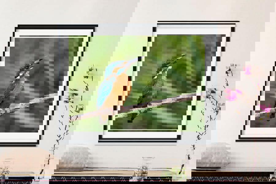 kingfisher framed wall art print