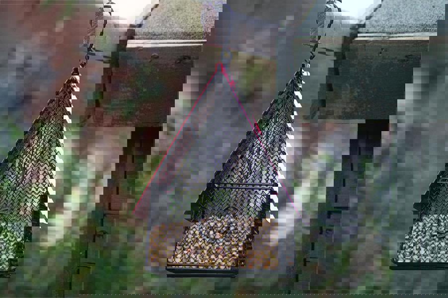 St Helens House Style Bird Feeder