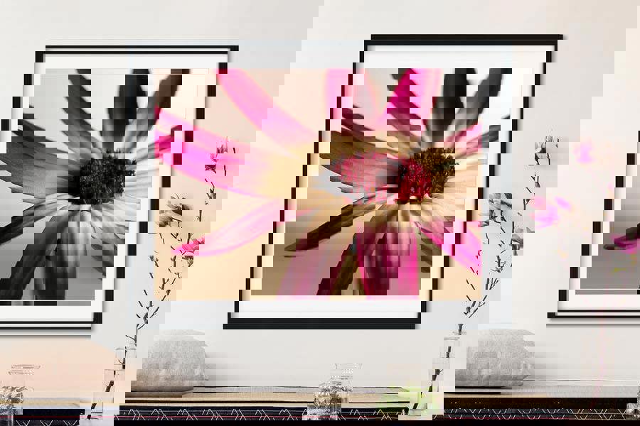 Pericallis flower wall print