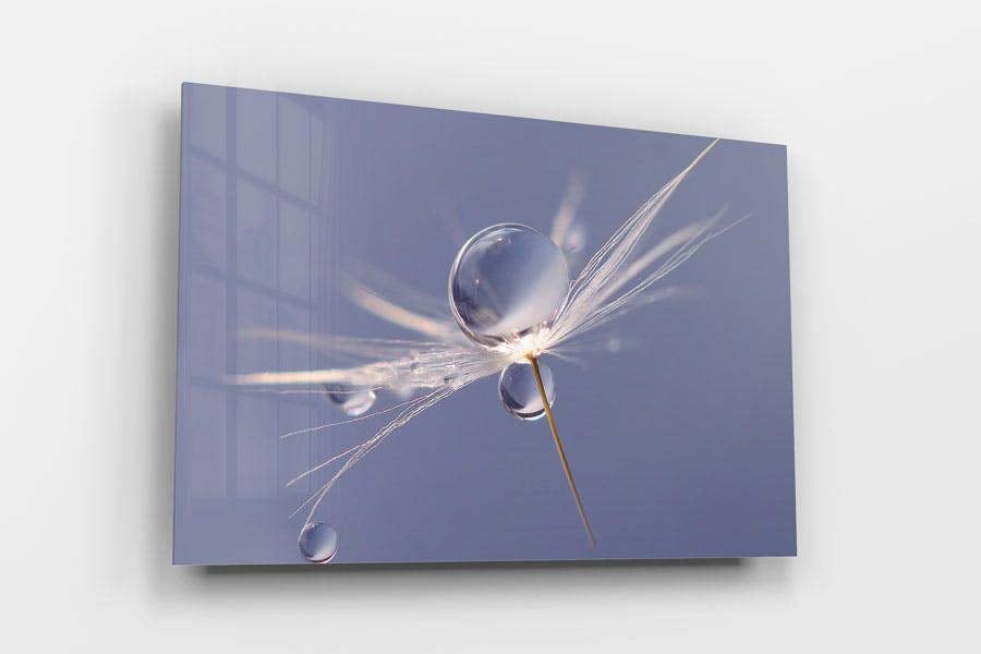 flower photography wall art