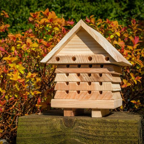 Interactive Solitary Bee Hive with Viewing Lid – Wooden Bee Hotel for Garden Pollinators
