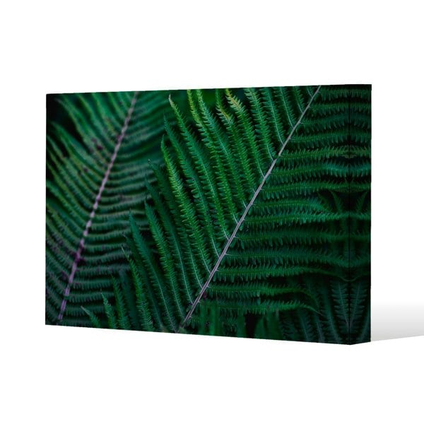 Benjamin Tate Design green leaves, abstract flora texture Slim Style Canvas Print  75x100cm , 15mm Slim Real wood.