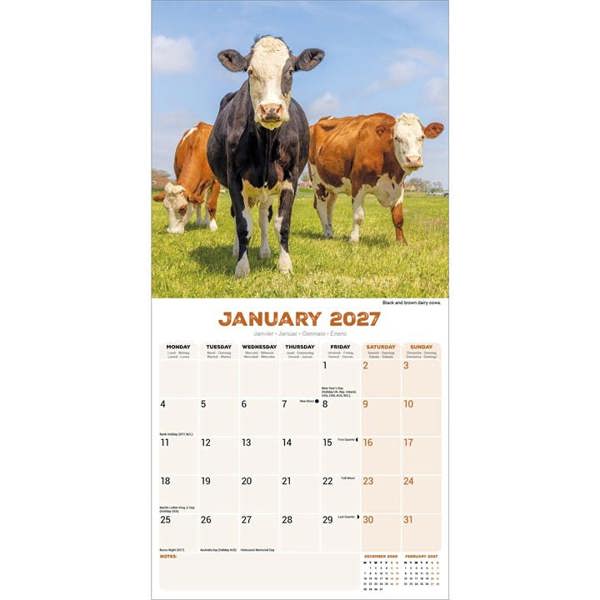 Cows Calendar 2027, Wall Calendars, Month To View, Animals, Gift