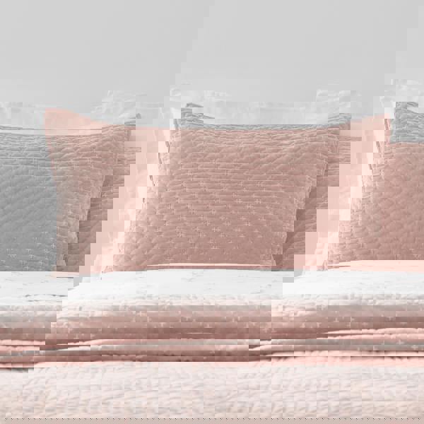 Bianca Attica Velvet Embroidered Pillow sham Pair Pink