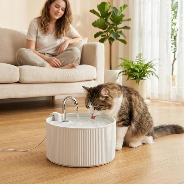 Pet Water Fountain