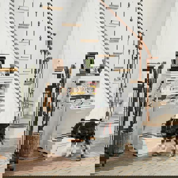 Pet Feeder Station Witn Storage