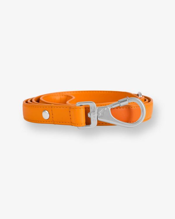 Barc London Mandarin Orange Dog Harness & Lead Set