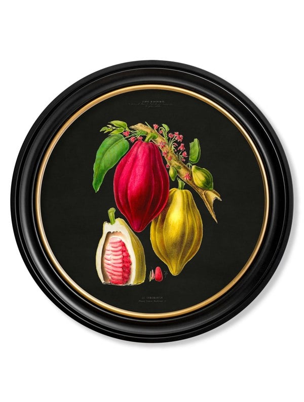 Exceptional Art c.1843 Chocolate Plant - Round Frame - Black