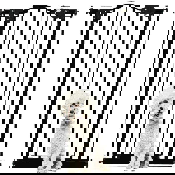 D06-094V04BK