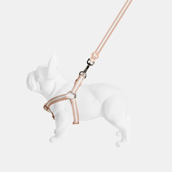 Barc London Luxury Dog Harness & Lead.