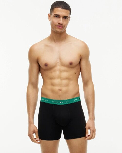 Tommy Hilfiger 3 Pack Mens Boxer Briefs - Alaskan Green/Med Red/Black