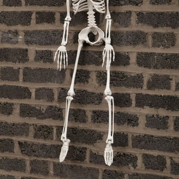 Samuel Alexander 10 Pack: 3ft (90cm) Posable Full Body Halloween Skeleton Decoration with Movable Joints