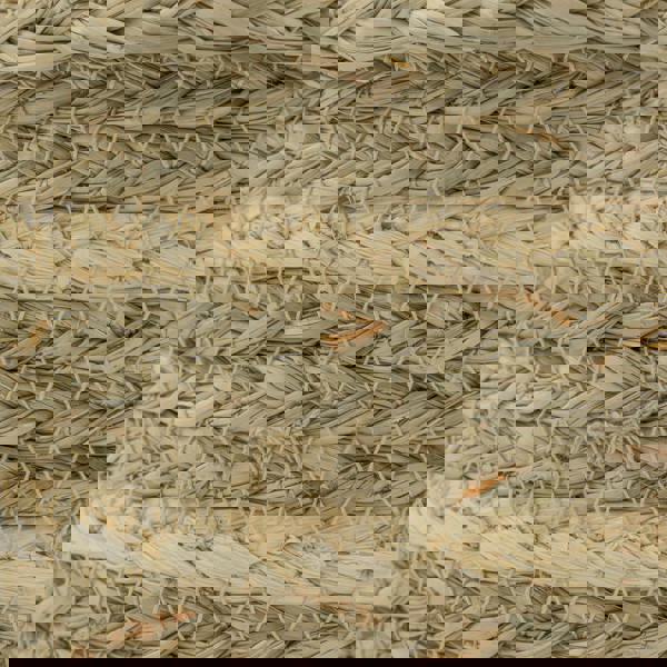 JVL Palma Natural Large Rectangular Woven Storage Basket for Home Storage, Brown