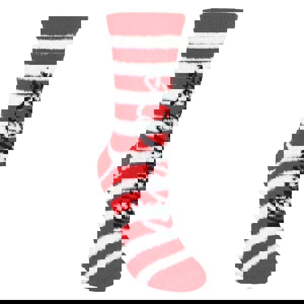 t4option1_1
