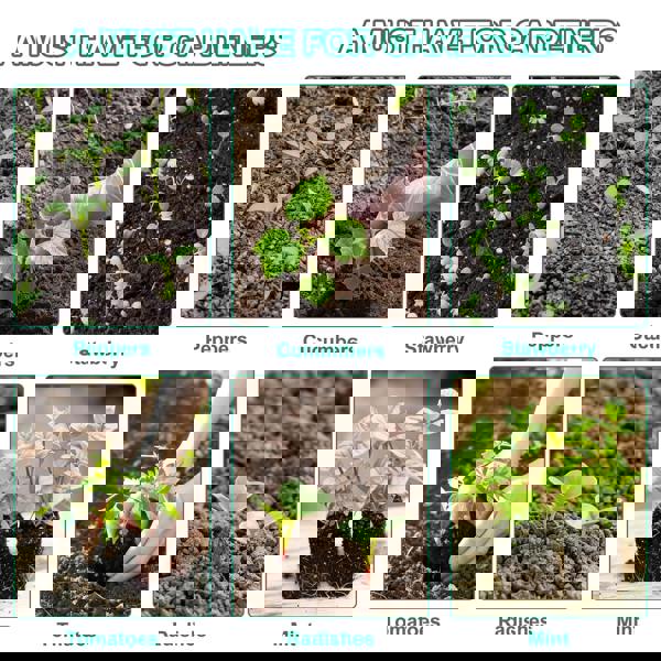 deAO Toys 5-Pack Seed Starter Tray Kit with Grow Lights Elevated Propagator Trays with Full-Spectrum Pant Light Adjustable Humidity Domes