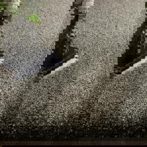 Asiatic Atlas Gunmetal Shaggy Rug