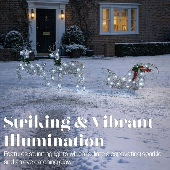 Scotts of Stow Xmas Haus LED Silver Glitter Deer and Sleigh Outdoor Decoration with Flash  and Timer