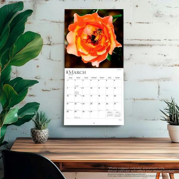 Roses Calendar 2027, Wall Calendars, Month To View, Lifestyle, Gift