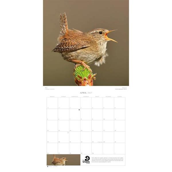 The Wildlife Trusts Calendar 2027, Wall Calendars, Month To View, Animals, Gift