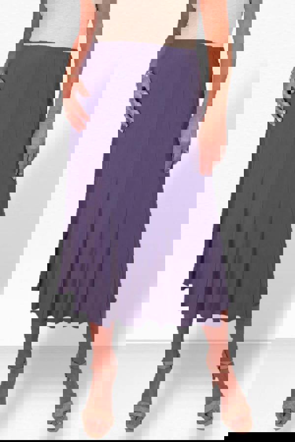 Paulo Due Women's 32" Soft Pleated Panel Midi Skirt