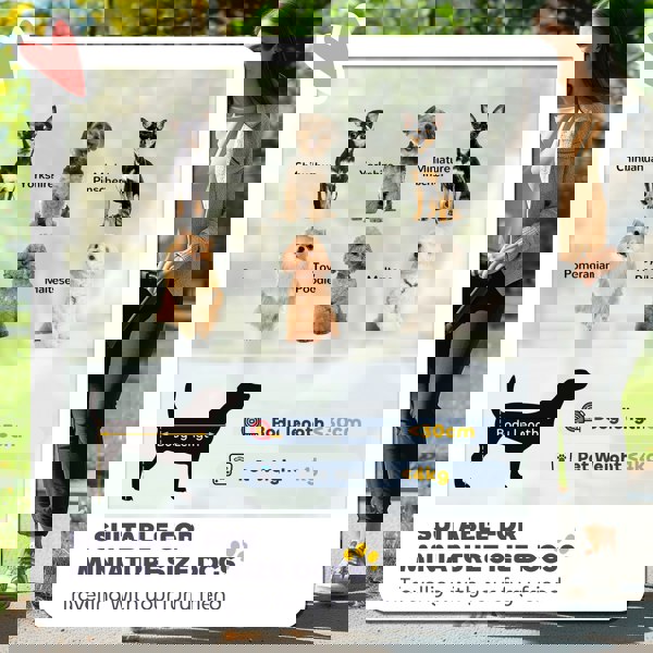 D00-204V00DB