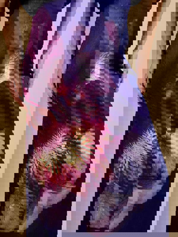 GWD Jessie Floral Printed Midi Skirt